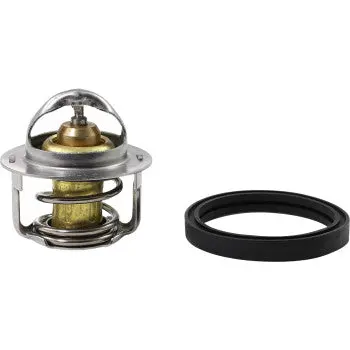 All Balls 1902-1705 16-3001 Replacement Thermostat - Polaris Replacement Thermostat - Polaris 1